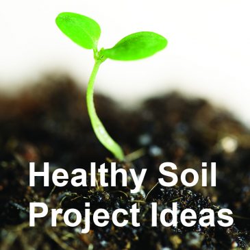 How to apply the Healthy Soil Principles