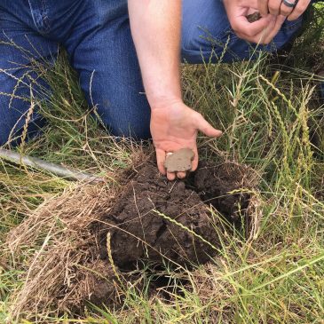 How Can You See Soil Health?